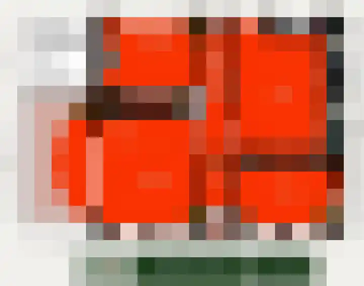 Sandoel 41 Raamsdonksveer thumbnail 87