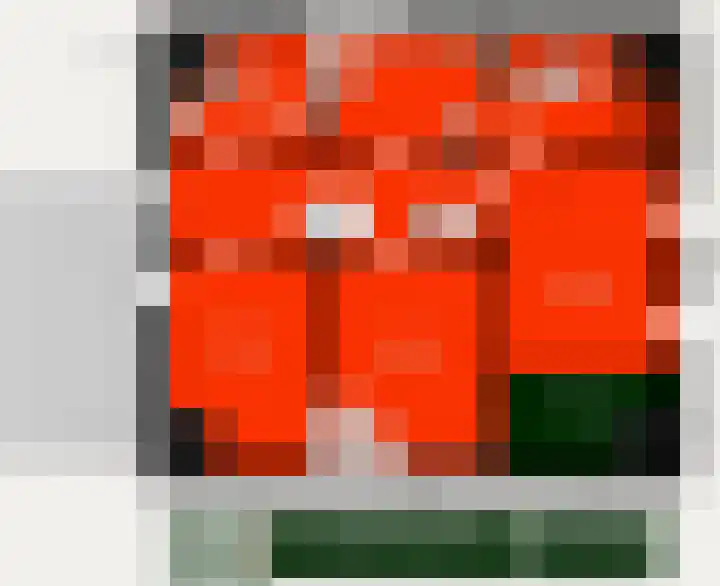 Sandoel 41 Raamsdonksveer thumbnail 97
