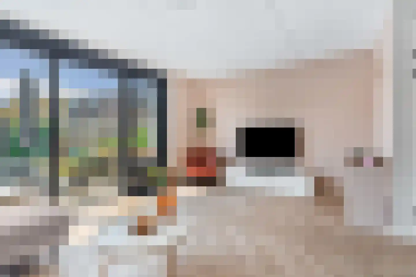 Sandro Botticellihof 13 Lent thumbnail 12
