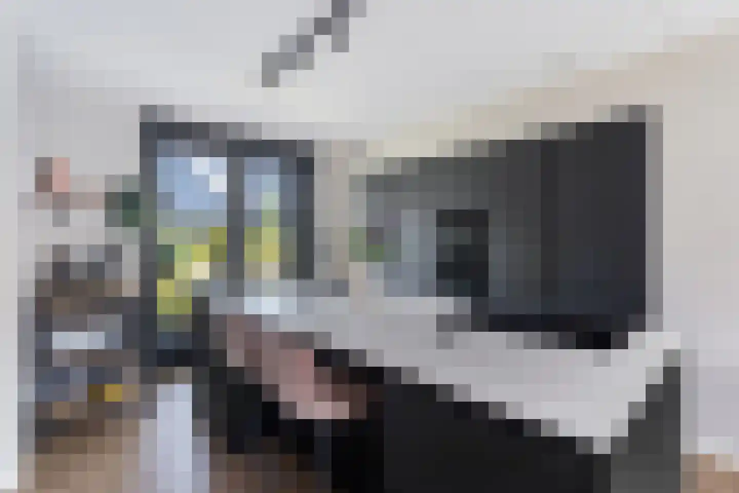 Sandro Botticellihof 13 Lent thumbnail 16
