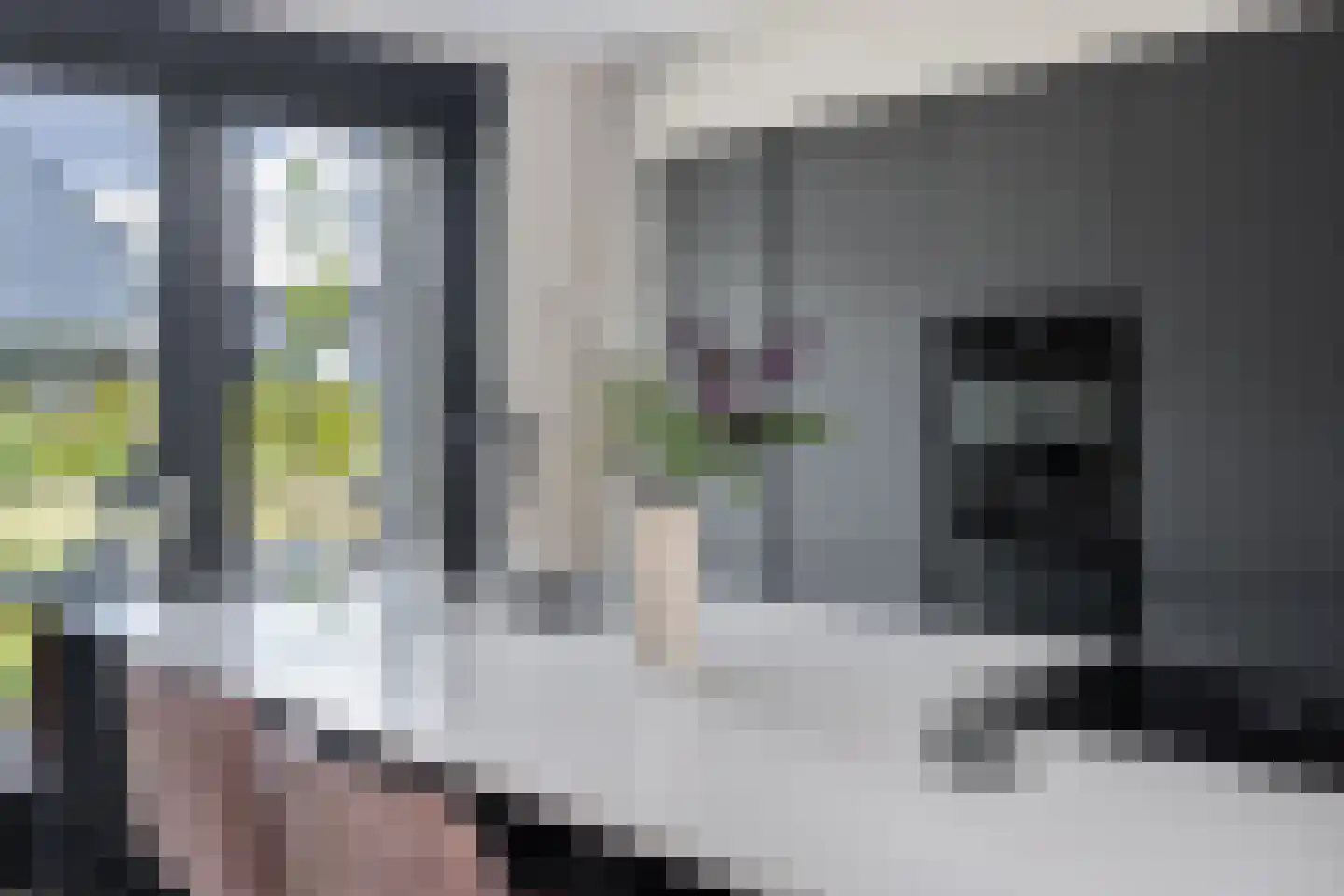 Sandro Botticellihof 13 Lent thumbnail 17