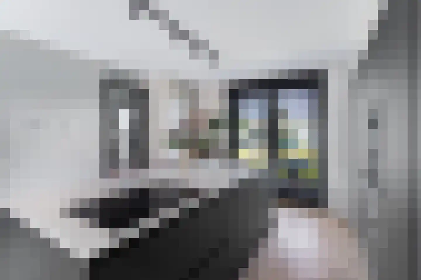 Sandro Botticellihof 13 Lent thumbnail 18