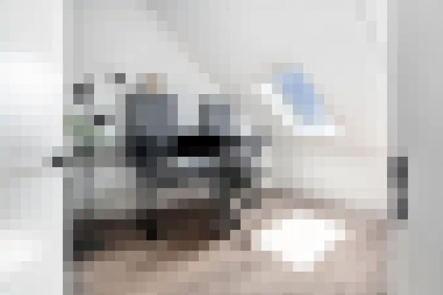 Sandro Botticellihof 13 Lent thumbnail 35