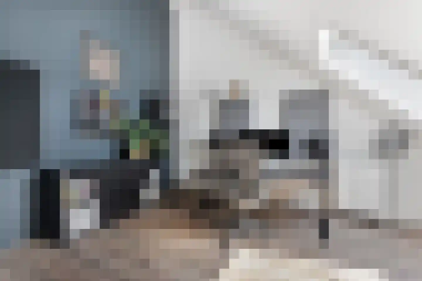 Sandro Botticellihof 13 Lent thumbnail 36