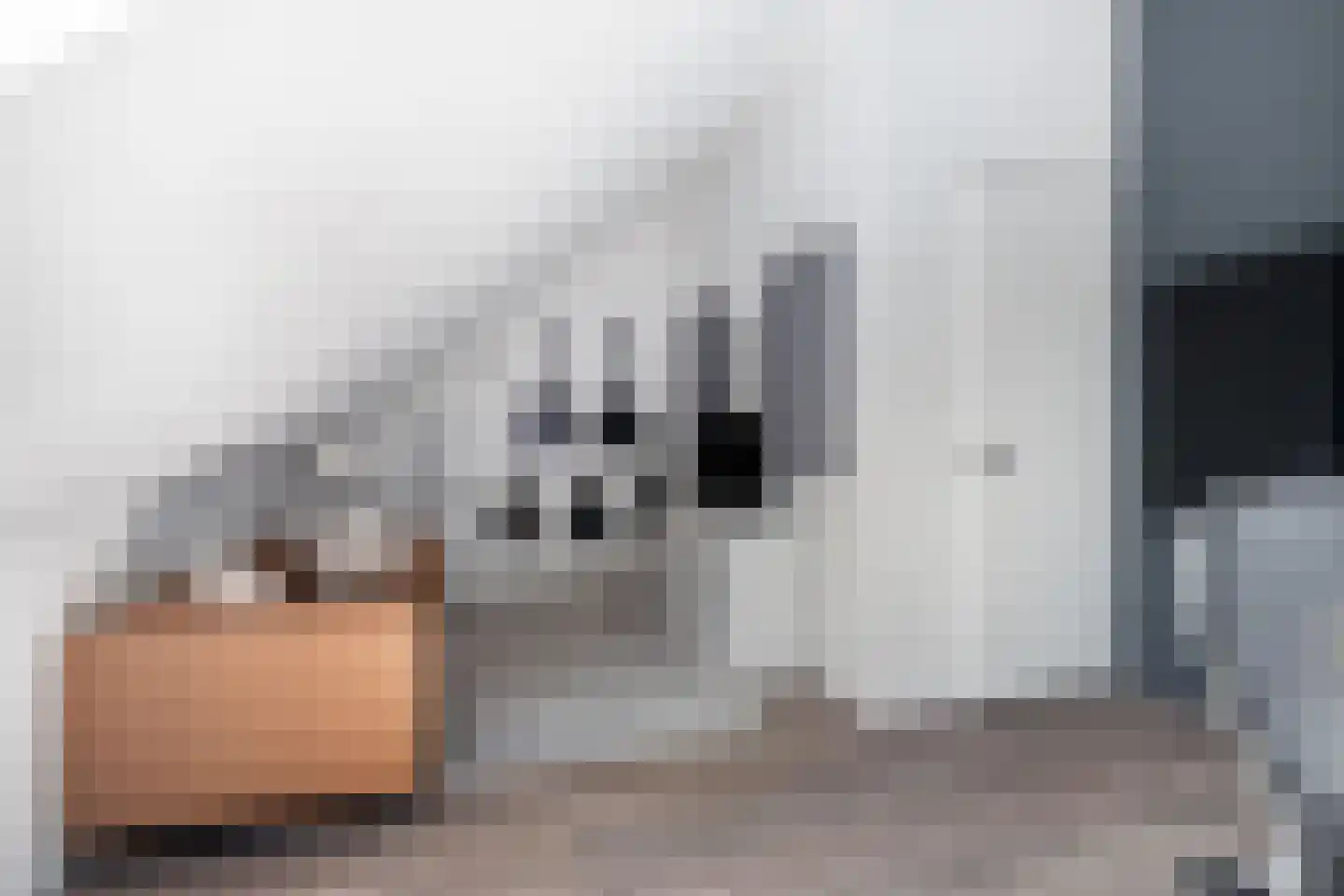 Sandro Botticellihof 13 Lent thumbnail 37