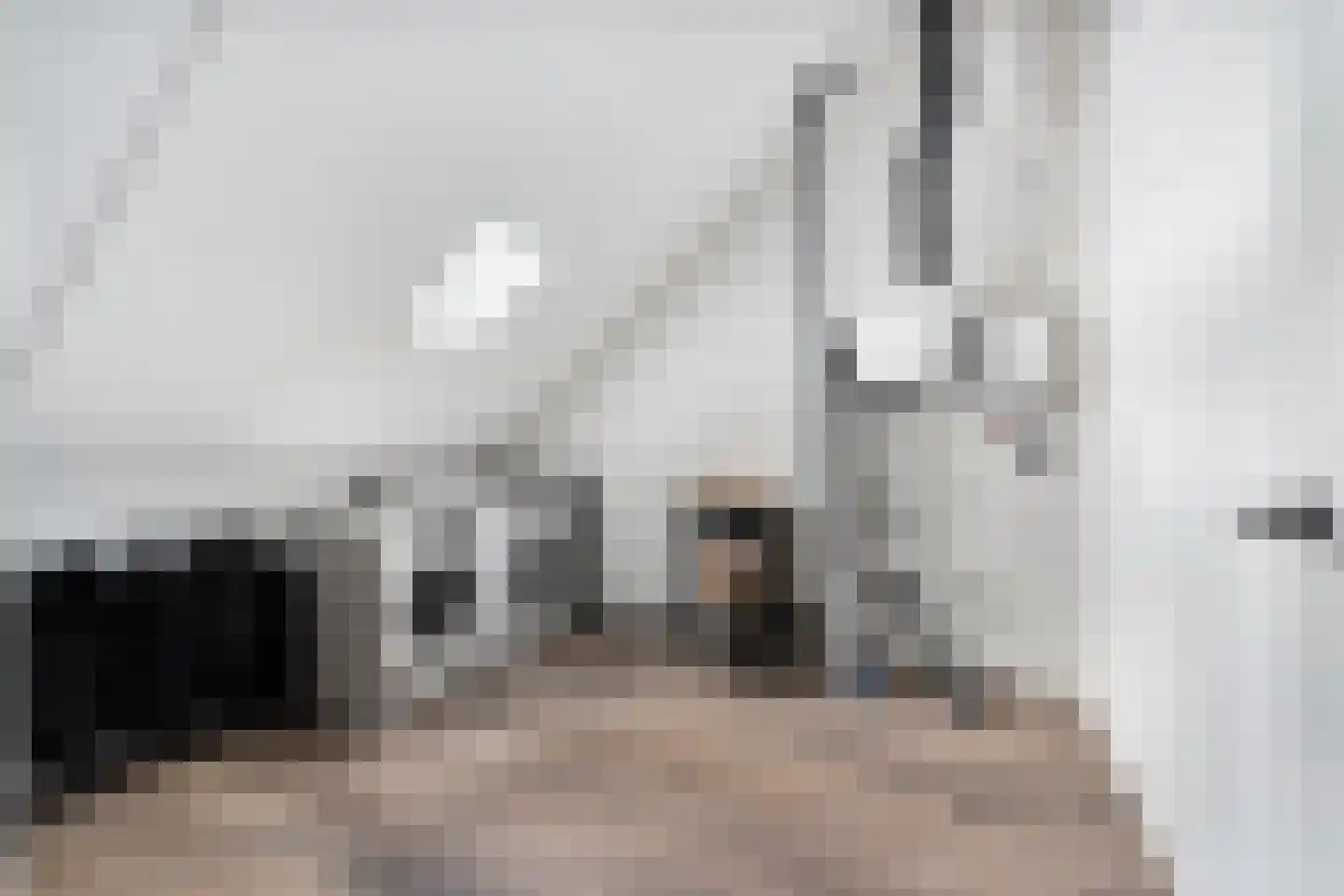 Sandro Botticellihof 13 Lent thumbnail 38