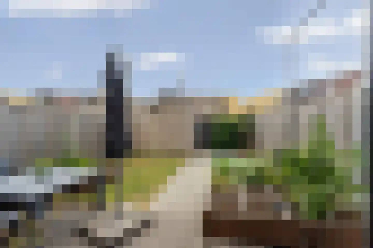 Sandro Botticellihof 13 Lent thumbnail 41