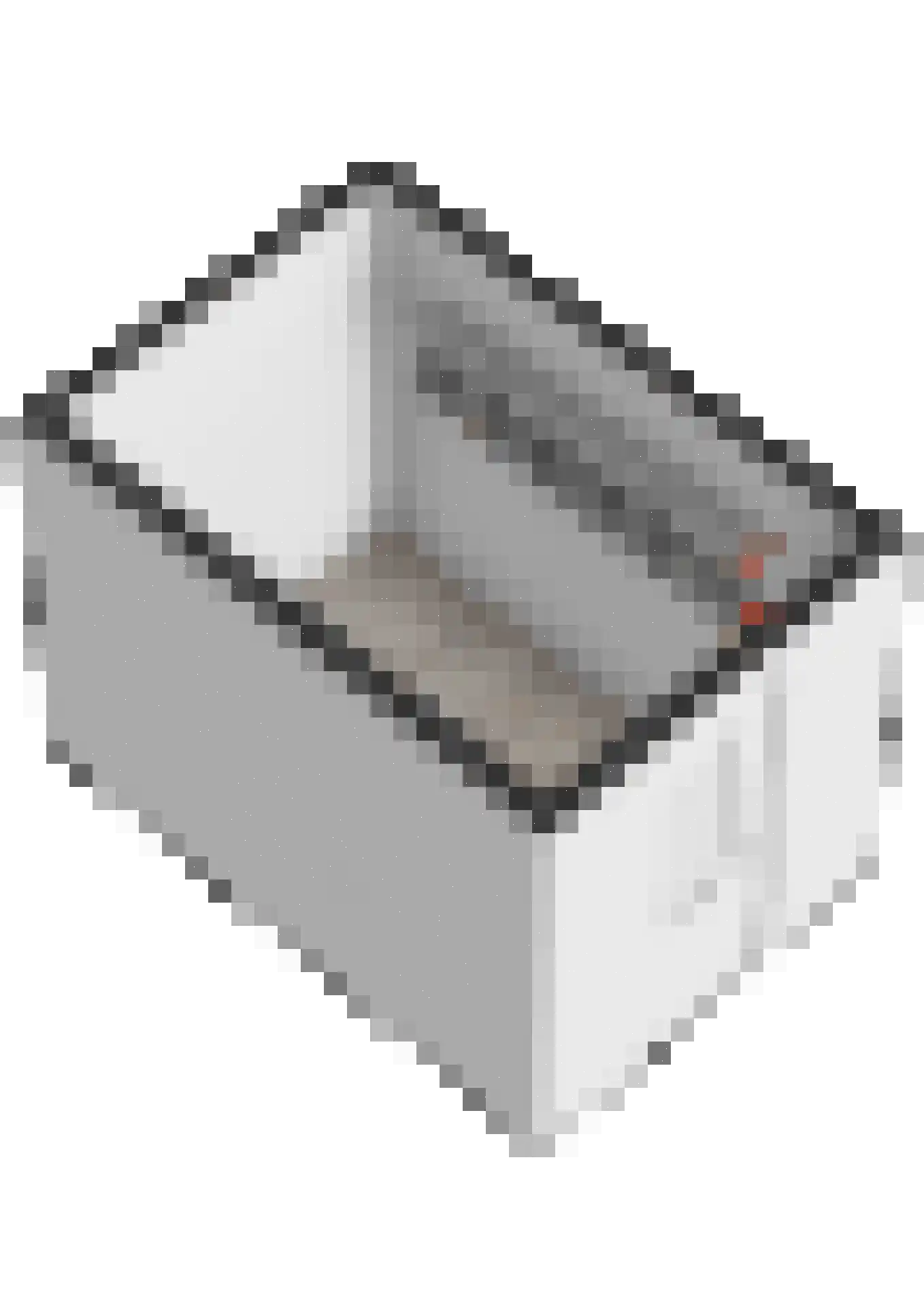 Sandro Botticellihof 13 Lent thumbnail 57