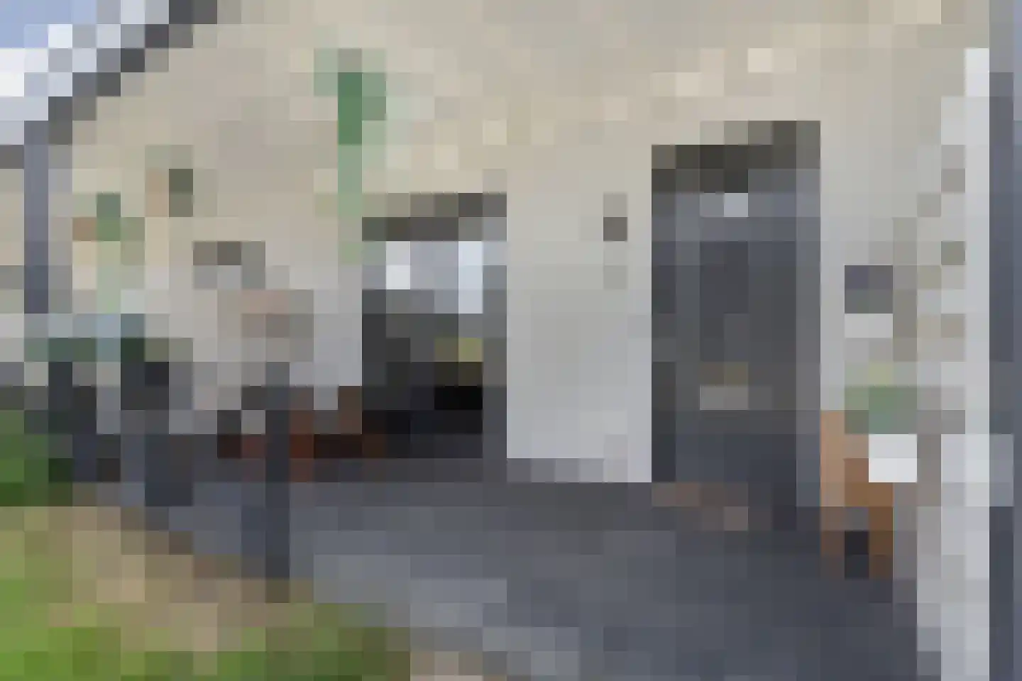 Sandro Botticellihof 13 Lent thumbnail 7