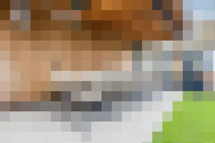 Sandtlaan 44 Rijnsburg thumbnail 36