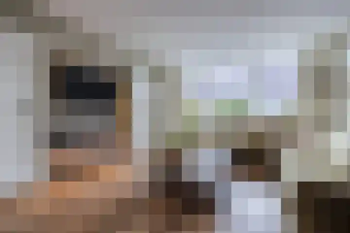 Sandtlaan 44 Rijnsburg thumbnail 4