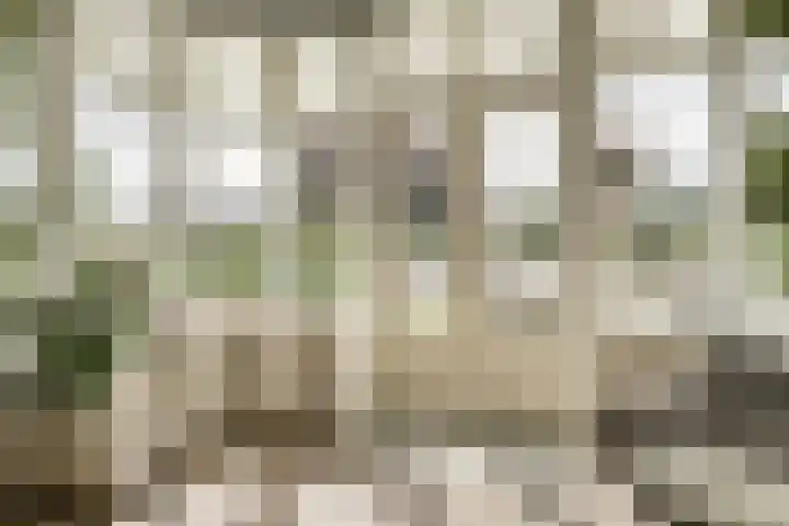 Sandtlaan 80 Rijnsburg thumbnail 13