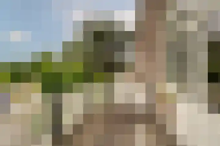 Sandtlaan 80 Rijnsburg thumbnail 28