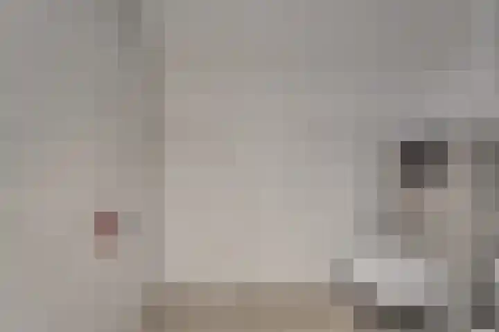 Sandtlaan 80 Rijnsburg thumbnail 38