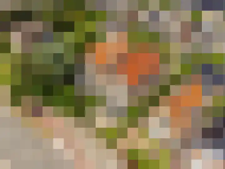 Sandtlaan 80 Rijnsburg thumbnail 4