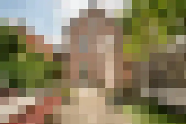 Sandtlaan 80 Rijnsburg thumbnail 43
