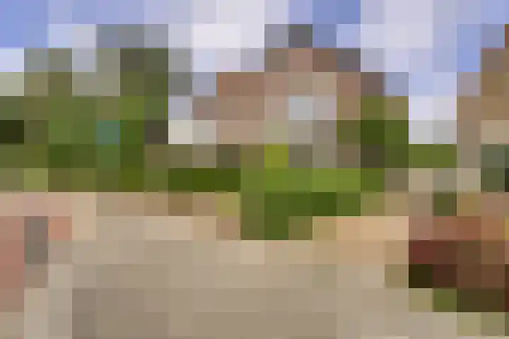 Sandtlaan 80 Rijnsburg thumbnail 48
