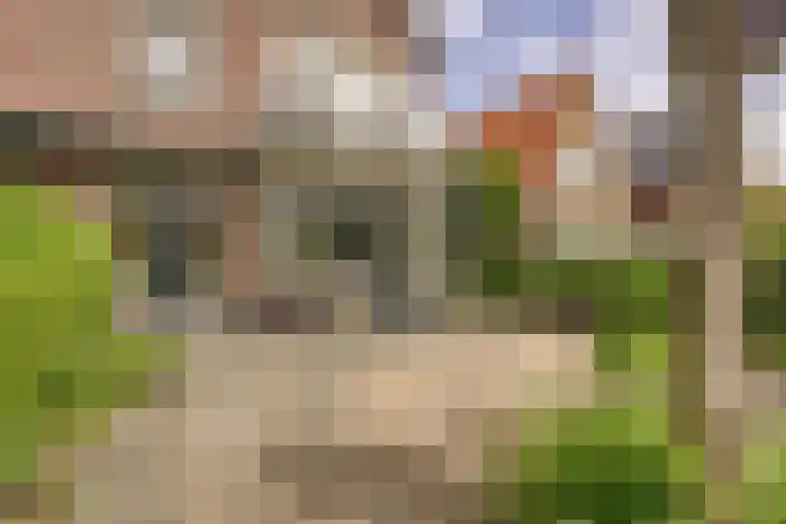 Sandtlaan 80 Rijnsburg thumbnail 5