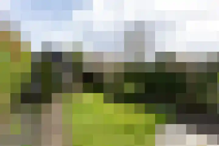 Sandtmannlaan 11 Naarden thumbnail 12