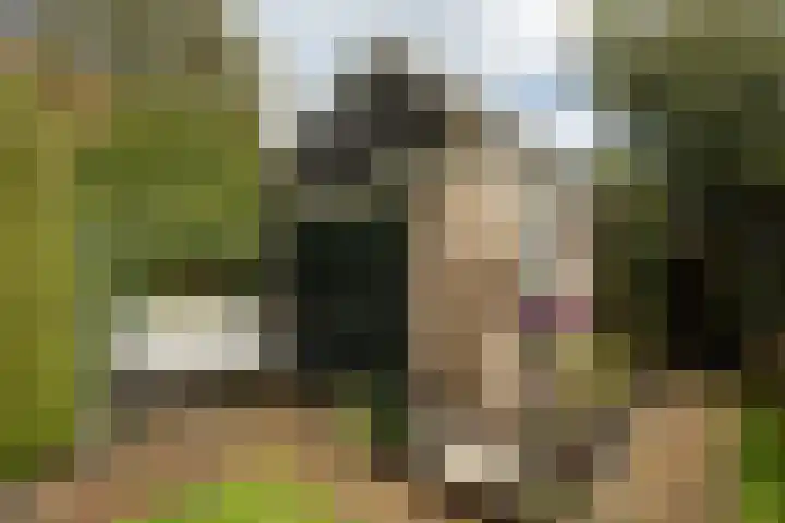 Sandtmannlaan 11 Naarden thumbnail 13