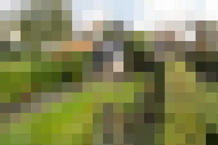 Sandtmannlaan 11 Naarden thumbnail 17