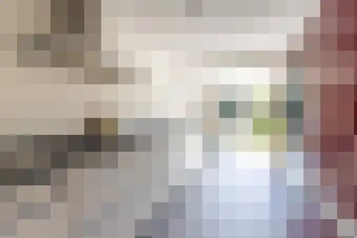 Sandtmannlaan 2 Naarden thumbnail 16