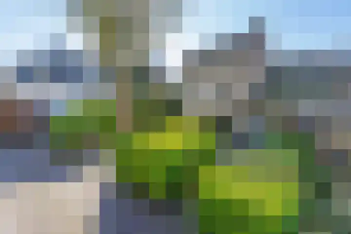 Sandtmannlaan 2 Naarden thumbnail 4