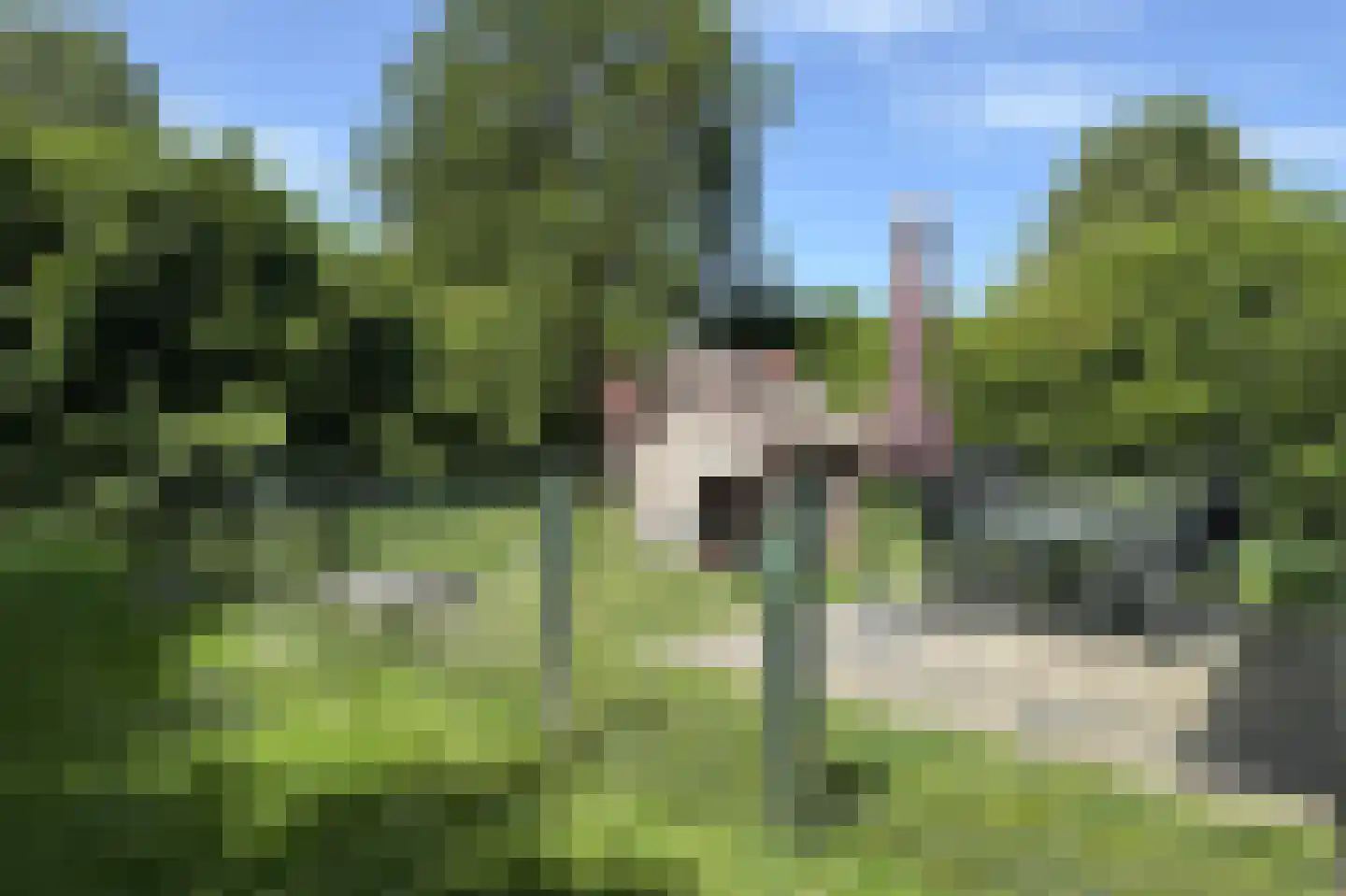 Sandurdreef 5 149 Emmen thumbnail 5