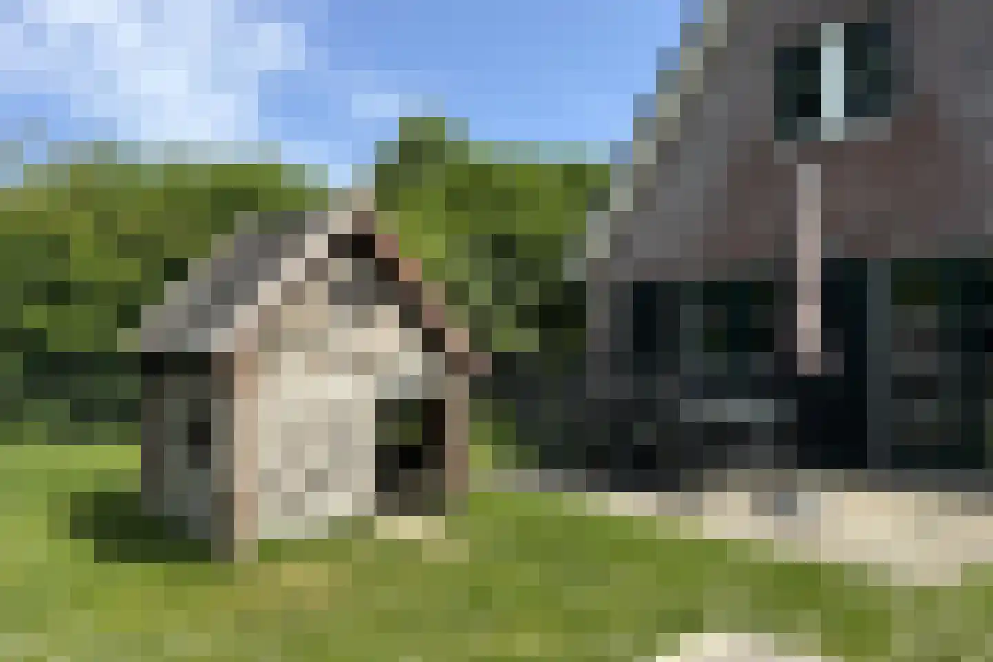 Sandurdreef 5 149 Emmen thumbnail 6