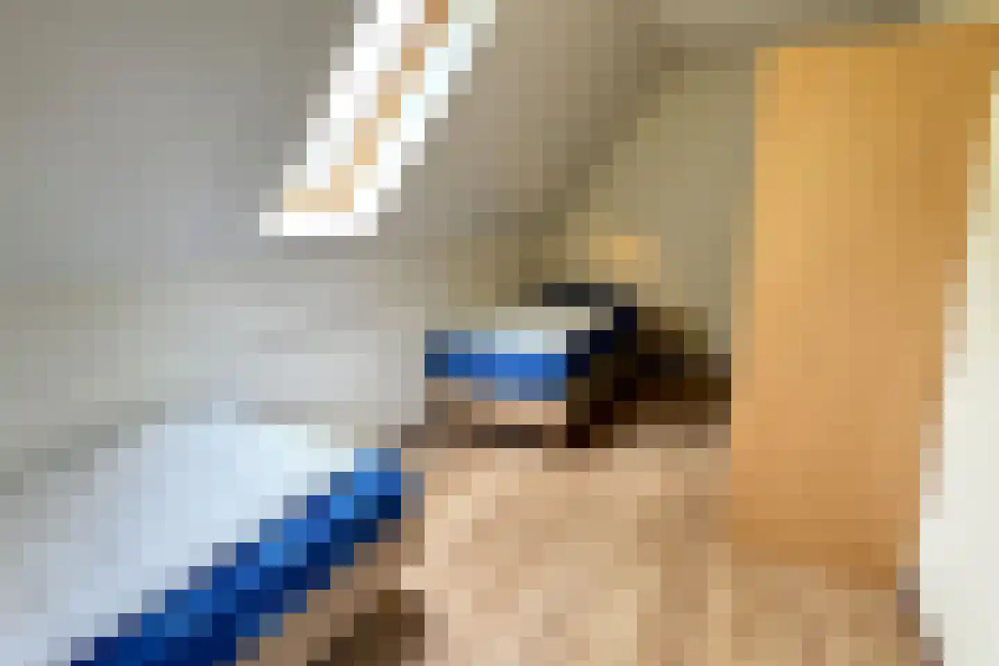 Sandurdreef 5 154 Emmen thumbnail 17