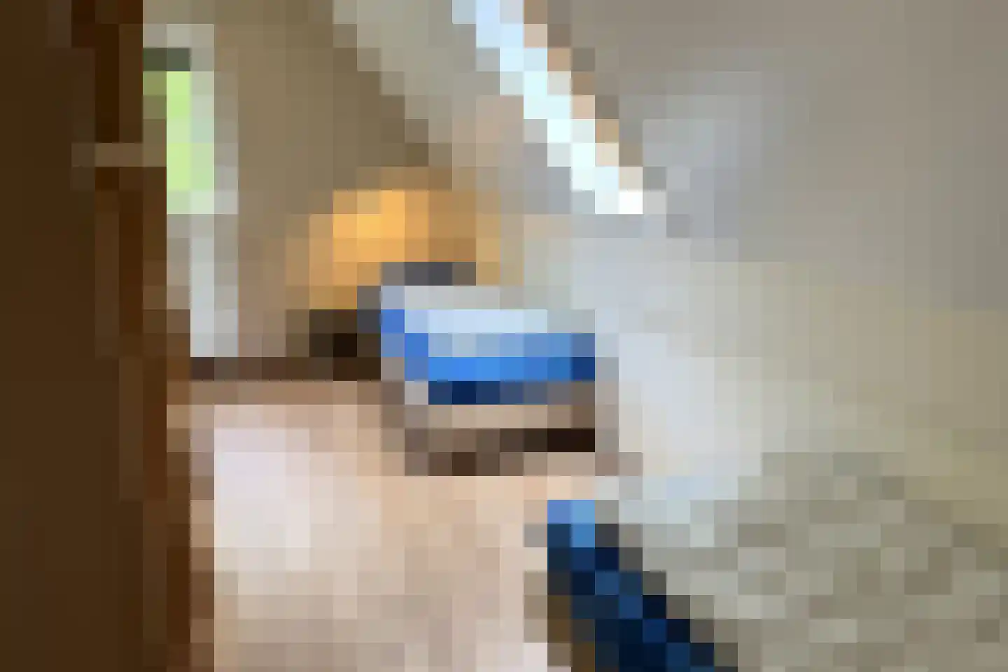 Sandurdreef 5 154 Emmen thumbnail 18