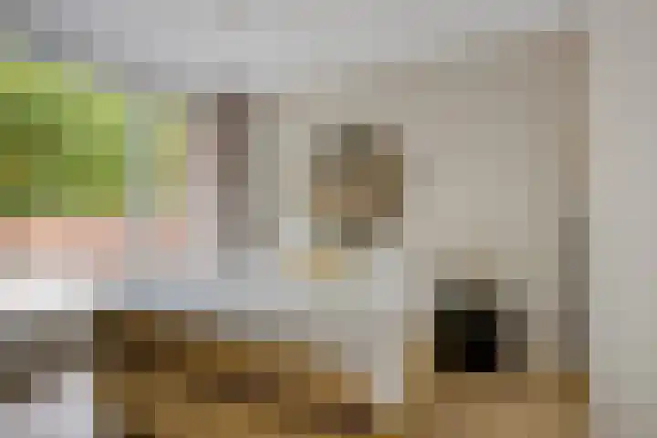 Sandurdreef 5 154 Emmen thumbnail 20