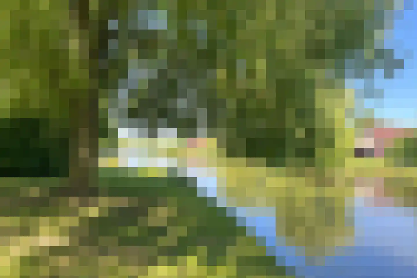 Sandurdreef 5 154 Emmen thumbnail 6