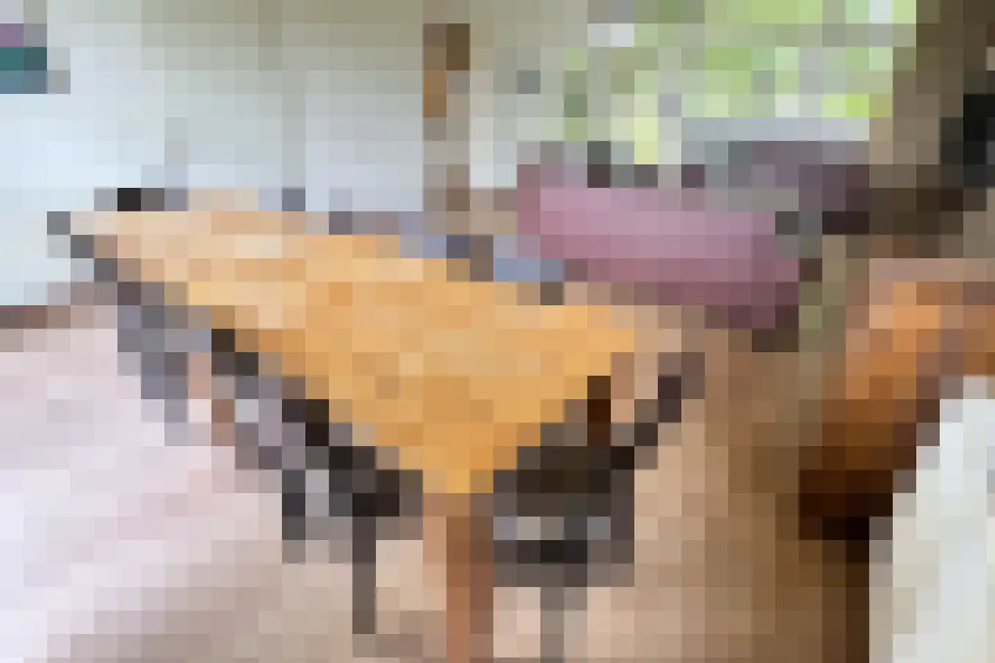 Sandurdreef 5 154 Emmen thumbnail 9