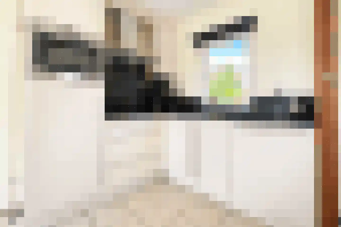 Sandurdreef 5 166 Emmen thumbnail 10