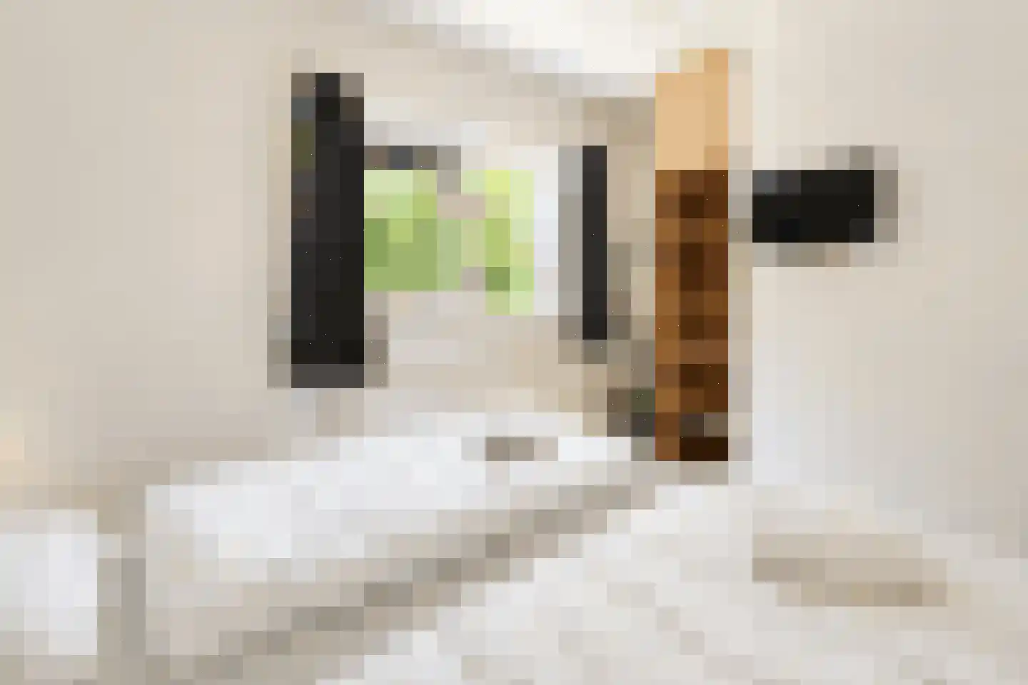 Sandurdreef 5 166 Emmen thumbnail 12