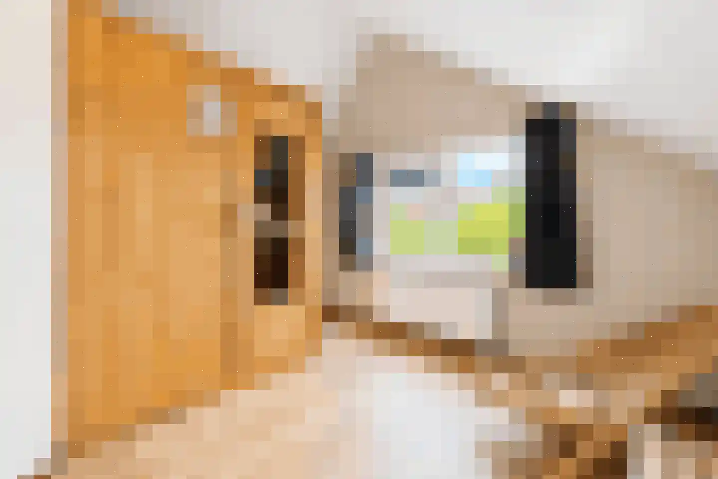 Sandurdreef 5 166 Emmen thumbnail 17