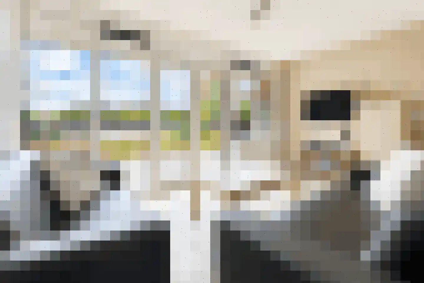 Sandurdreef 5 166 Emmen thumbnail 6