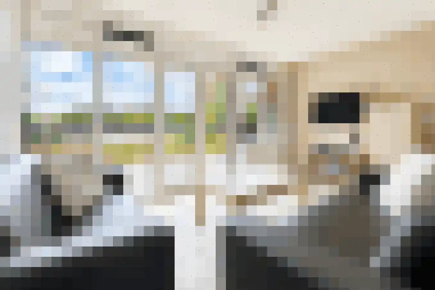 Sandurdreef 5 166 Emmen thumbnail 7