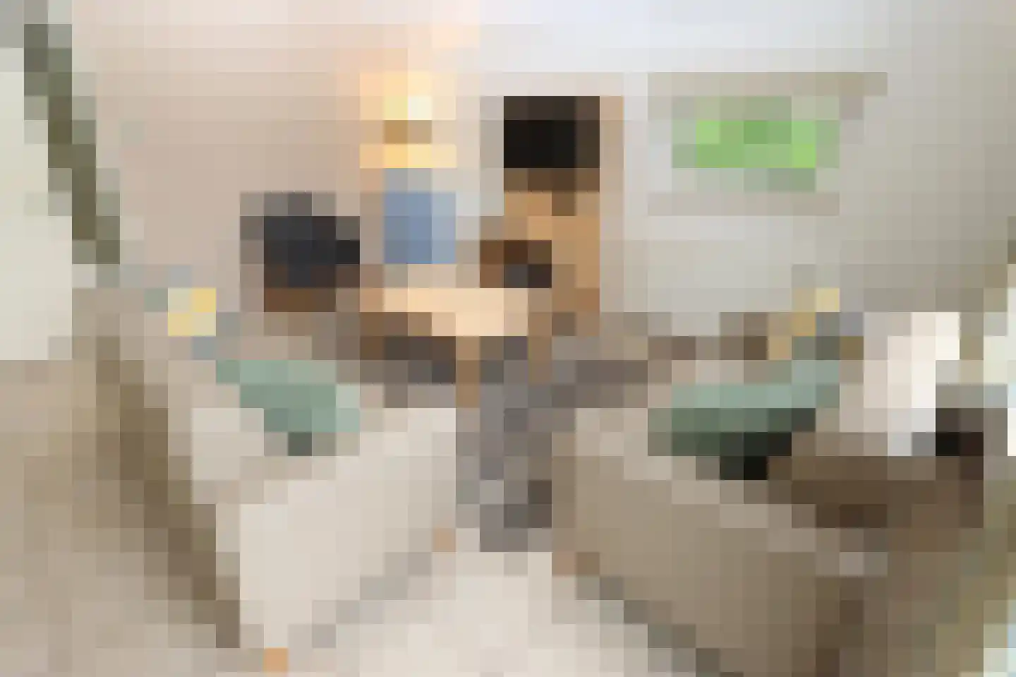 Sandurdreef 5 181 Emmen thumbnail 7