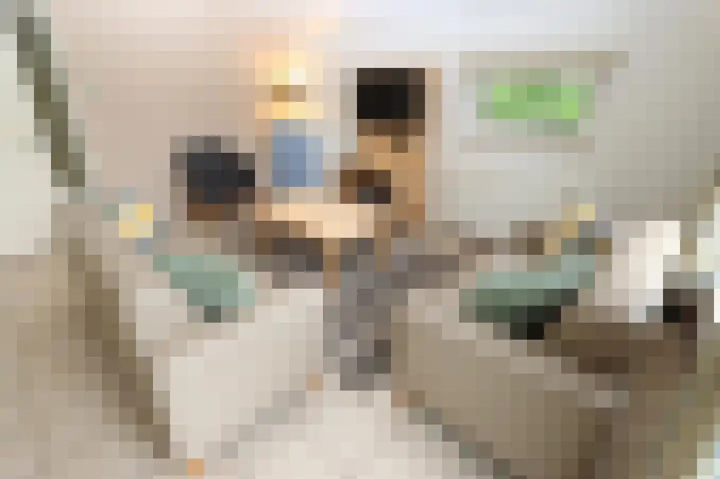 Sandurdreef 5 181 Emmen thumbnail 7