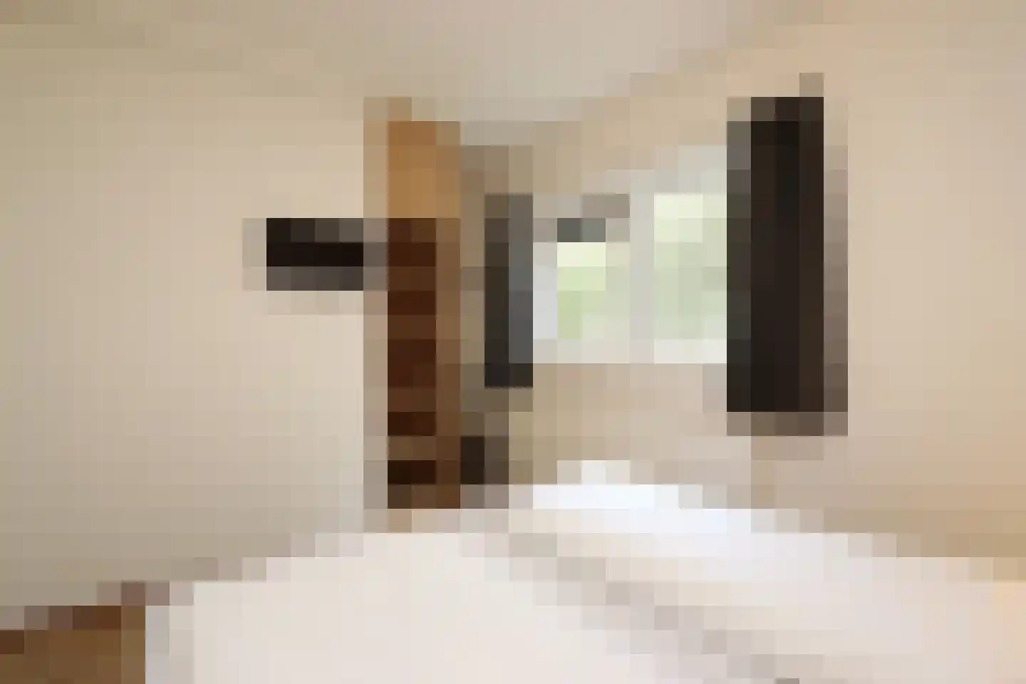 Sandurdreef 5 192 Emmen thumbnail 10