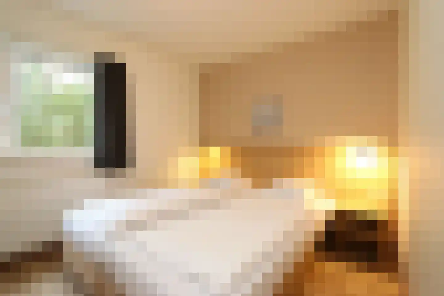 Sandurdreef 5 192 Emmen thumbnail 9