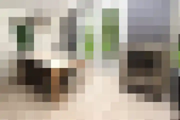 Sandurdreef 5 218 Emmen thumbnail 8