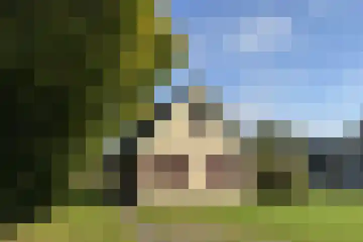 Sandurdreef 5 231 Emmen thumbnail 4