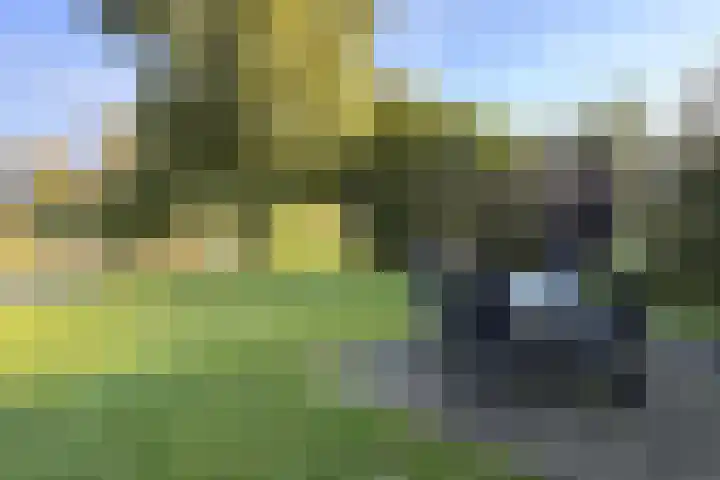 Sandurdreef 5 231 Emmen thumbnail 6
