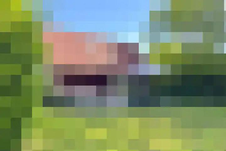 Sandurdreef 5 248 Emmen foto 3