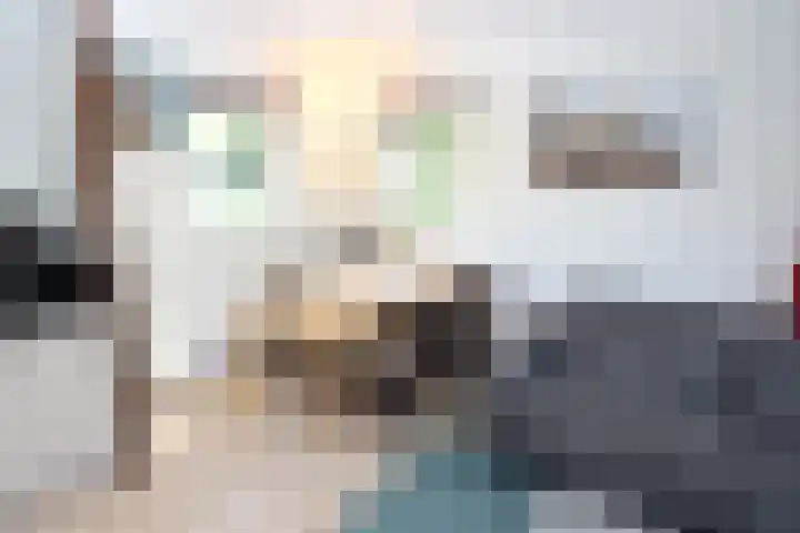 Sandurdreef 5 248 Emmen thumbnail 8