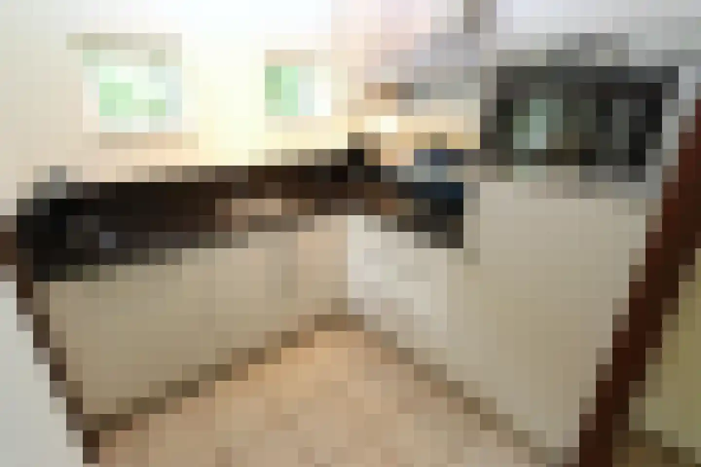 Sandurdreef 5 250 Emmen thumbnail 10