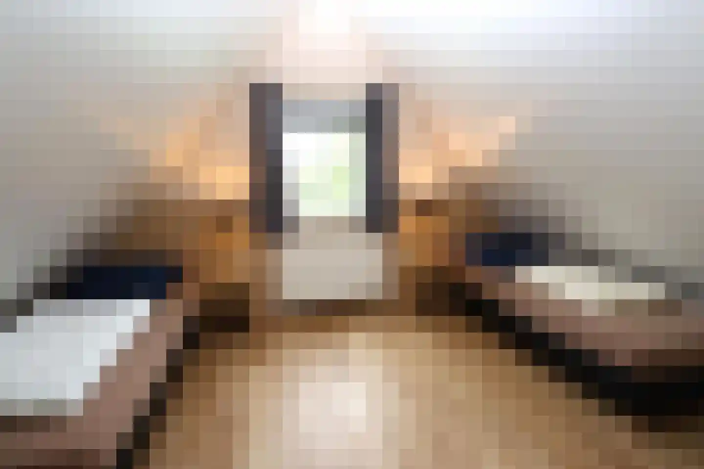 Sandurdreef 5 250 Emmen thumbnail 17